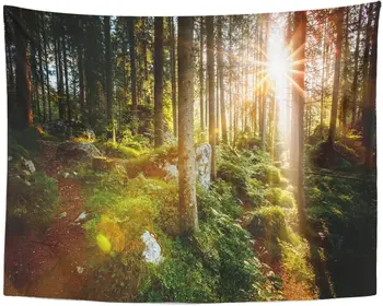 

Magical Woods in The Morning Sun Fairy Forest Autumn Dramatic Scene and Picturesque Wonderful Natural Tapestry Home Decor Wall