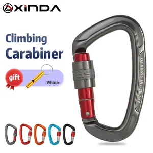 Outdoor Professional Rock Climbing Carabiner 25kN Lock D-shape Safety Buckle Carabiner for keys Outdoor tools Equipment