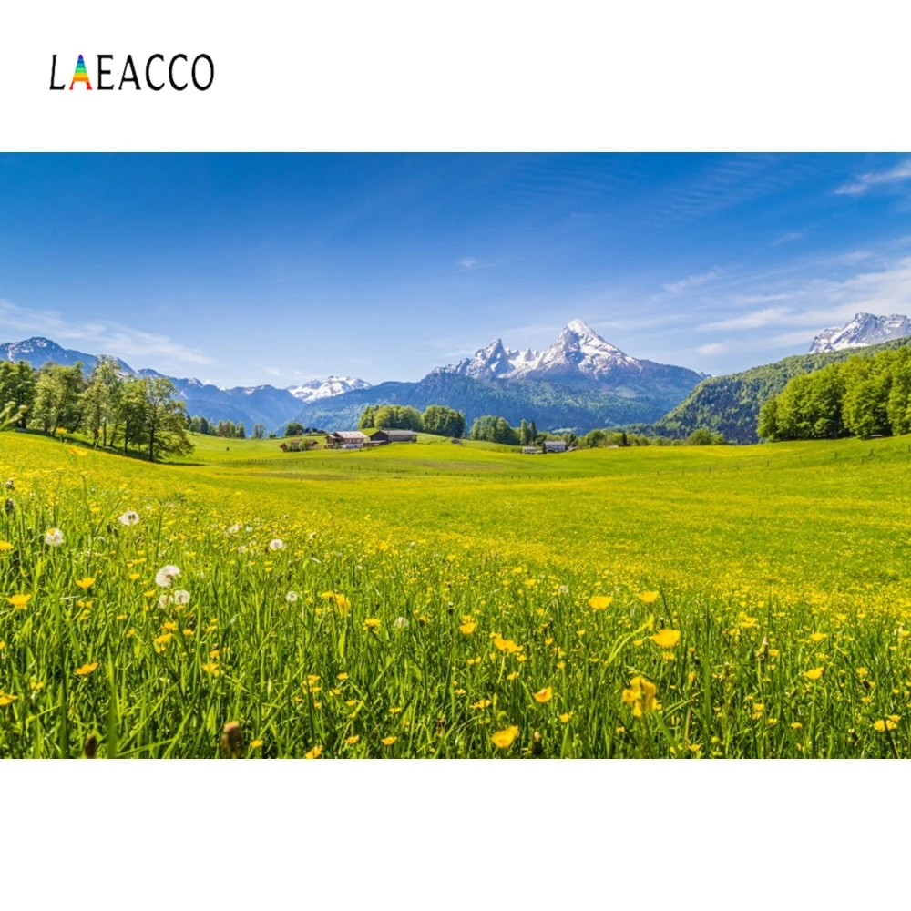 Laeacco весенние живописные цветущие луга Деревья горы фоны для фотосъемки