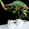 Pet Products