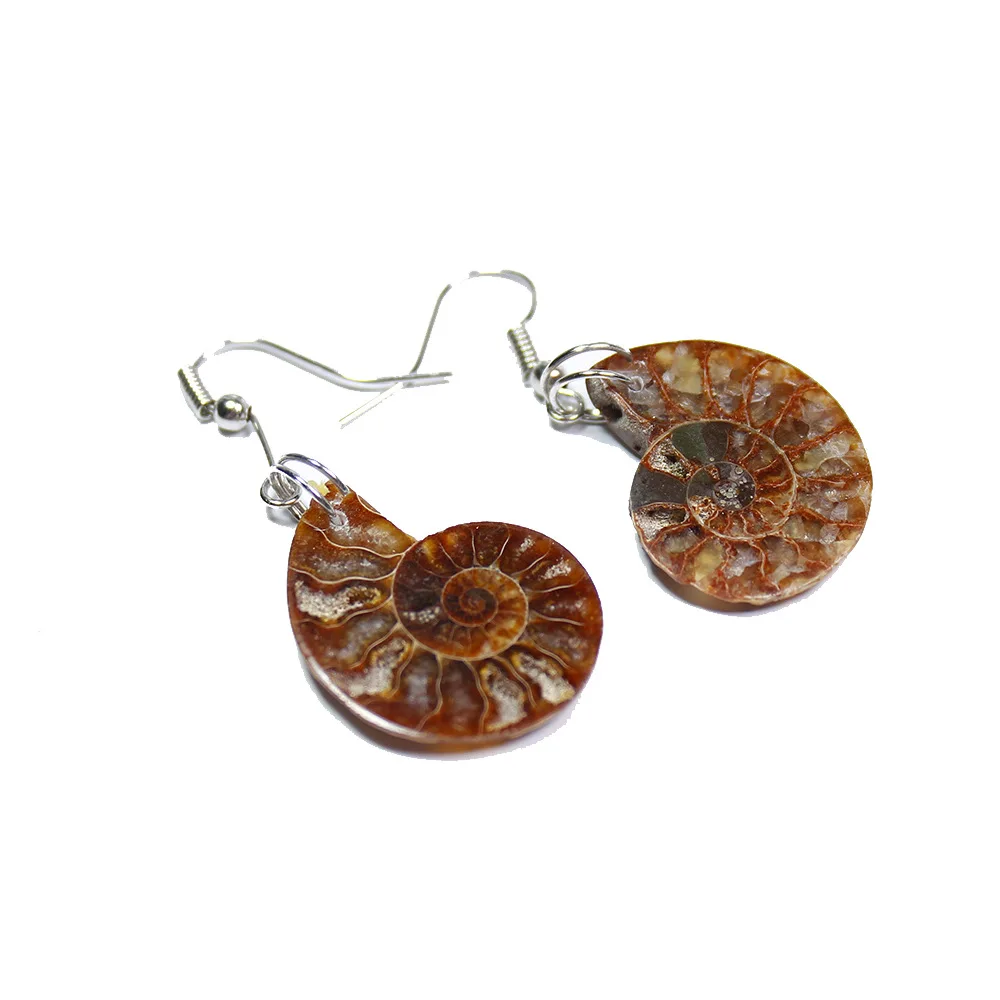 Opalized AMMONITE Crystal Statement Earrings for Woman Girl Fossil Dangle Healing Crystals Jewelry | Украшения и аксессуары