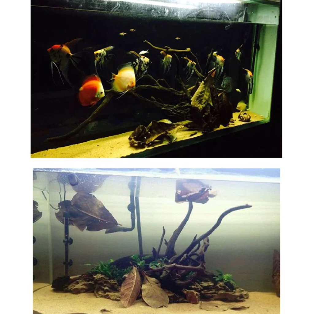 10pcs Indian Almond Leaves for Betta, Induce Breeding and Boost Immunity, Reduce Stress, No Toxic , Easy to Use