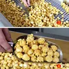 Sphericity Fuel Gas Popcorn Machine Commercial Fully Sutomatic Large Restaurant Stainless Steel Make Manufacture Popcorn Equipme 6
