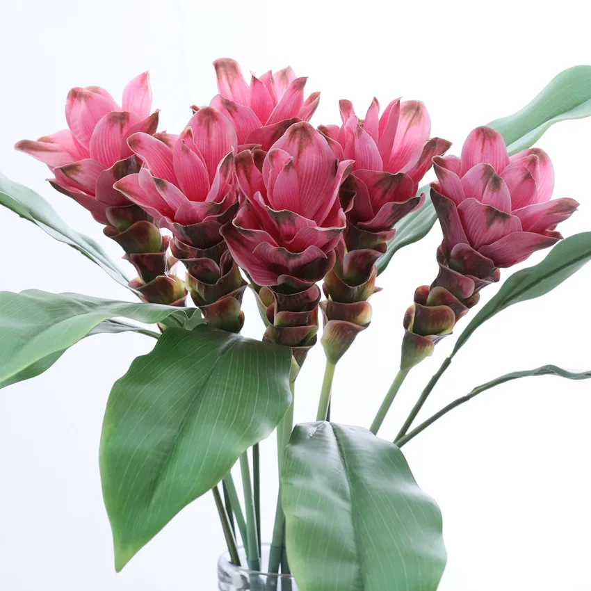 2 шт., 66 см, Искусственные пластиковые цветы Curcuma Alismatifolia, имбирный цветок лотоса, несколько цветов для украшения дома, свадьбы