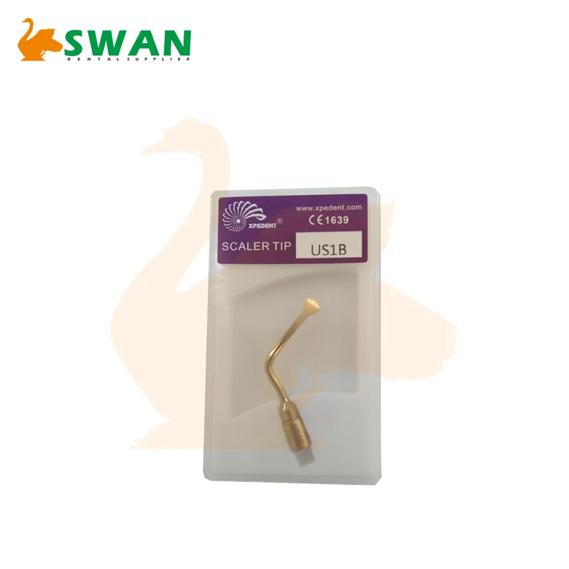 Punte Per Scaler Piezoelettrico Ad Ultrasuoni Dentale Con - Foto 4