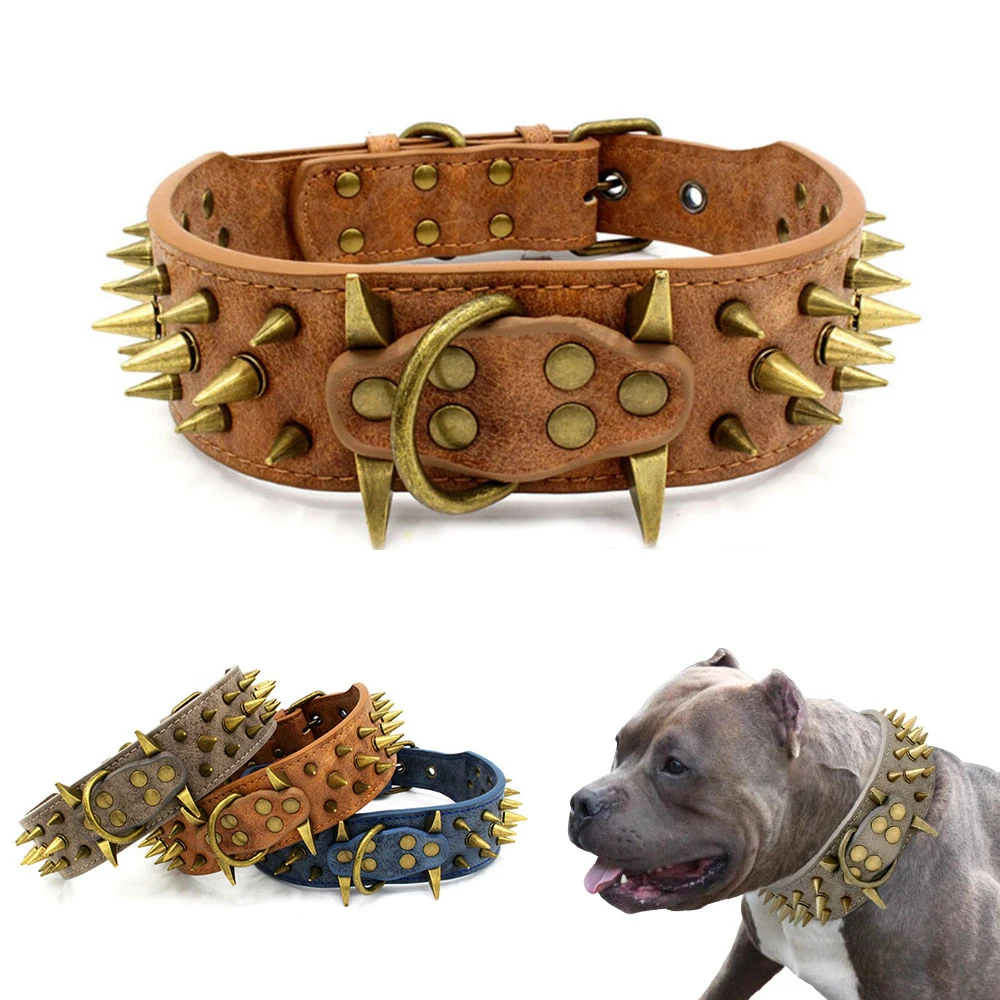 Spike Pitbull Breed ubicaciondepersonas.cdmx.gob.mx