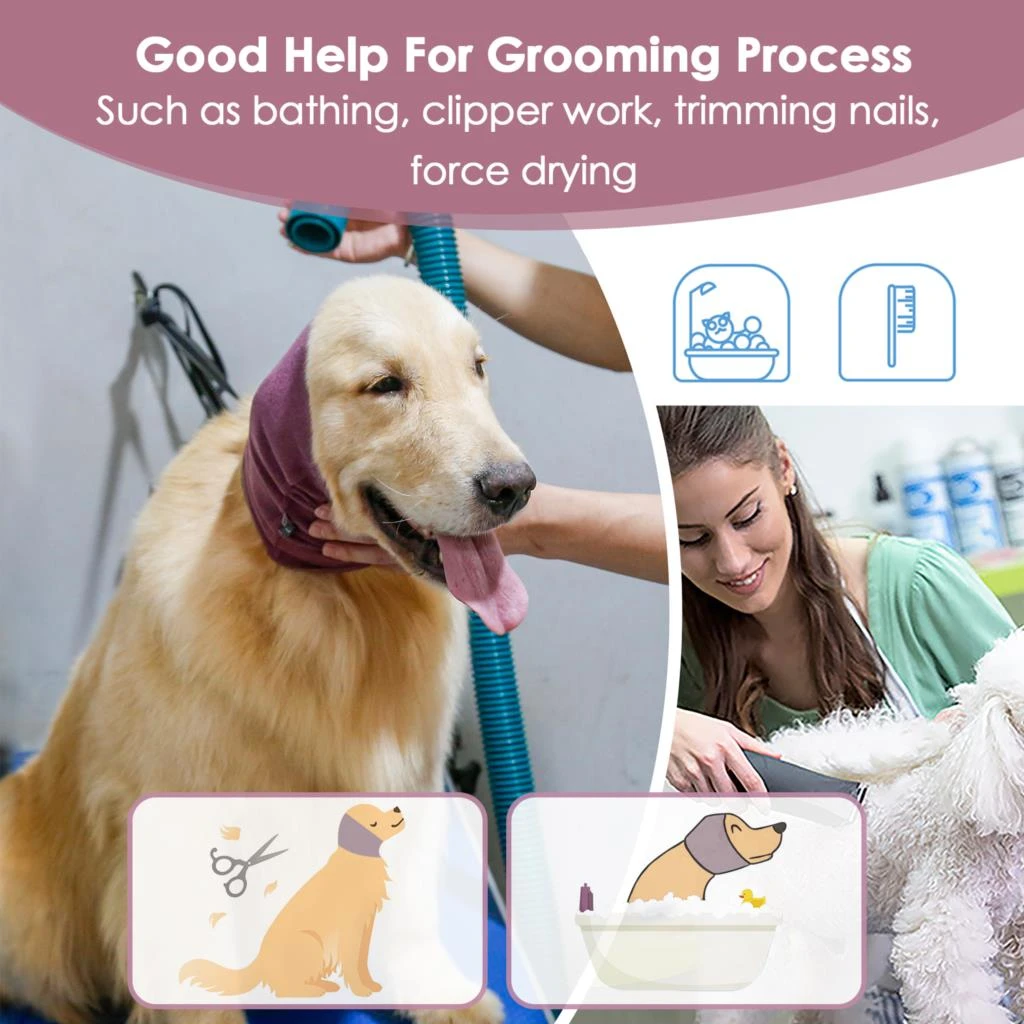 Hematoma In Dogs Ear lupon.gov.ph