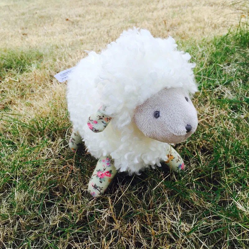 微信图片_20191216173829_副本