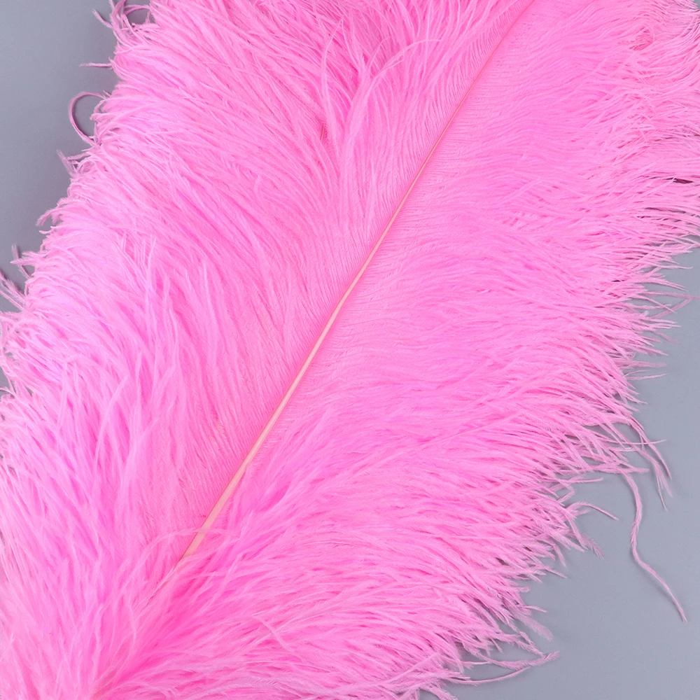 TS0160005 60-65cm ostrich feathers 3