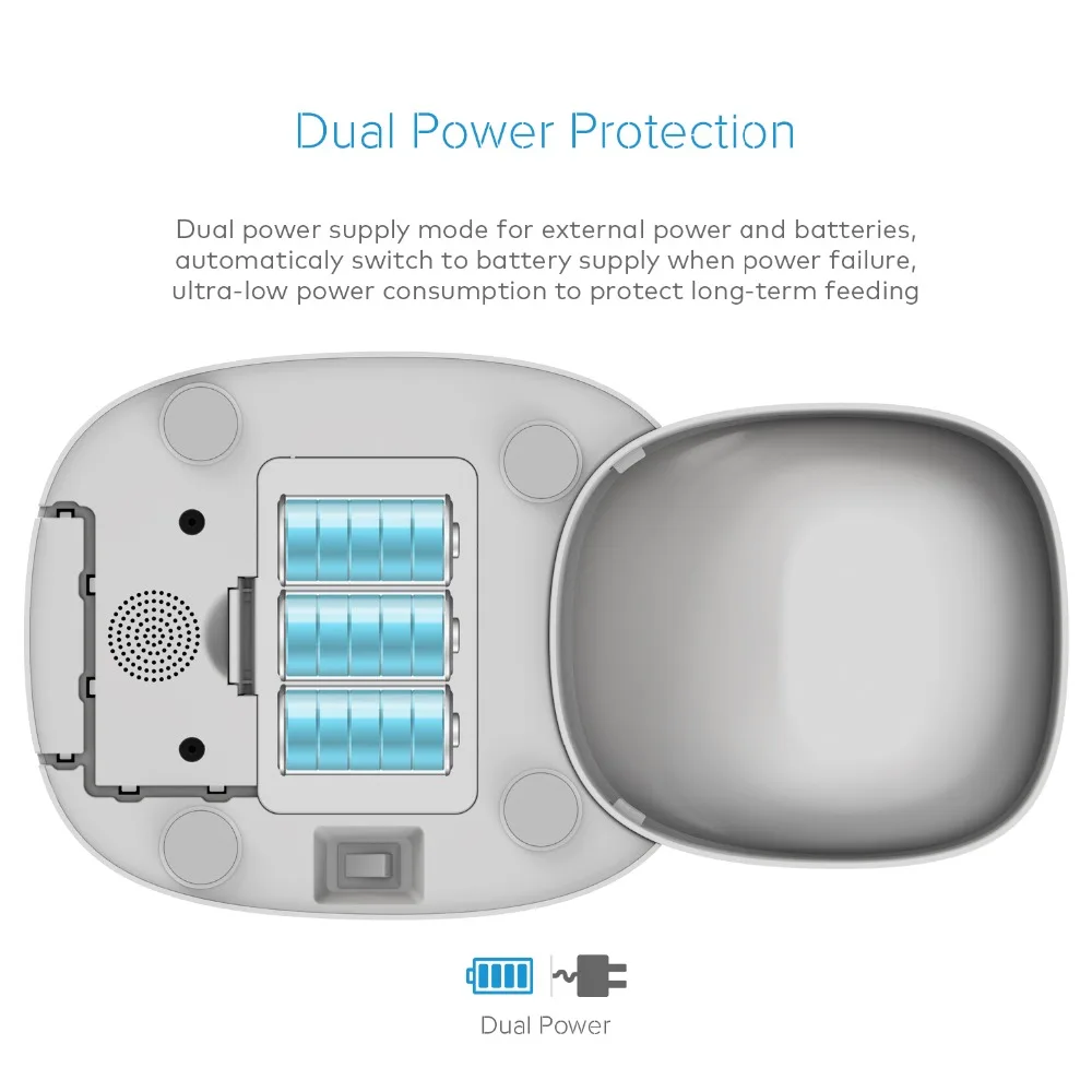 Dual Power
