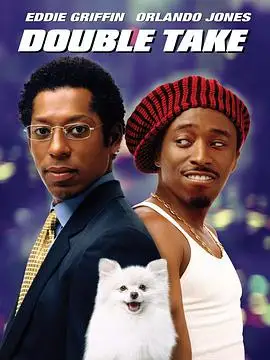 妙探追缉令/双重身份