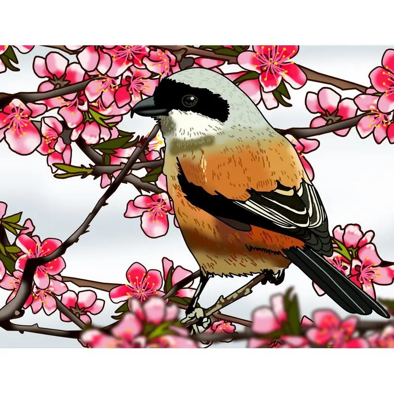 Frame Birds DIY Painting By Numbers Wall Art Decor Hand painted Oil On Canvas For Living Room Gift Artwork | Дом и сад