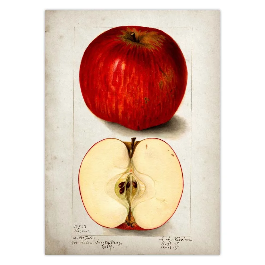 Ha9e1098b7a3249eeb268dcbaf796faedz