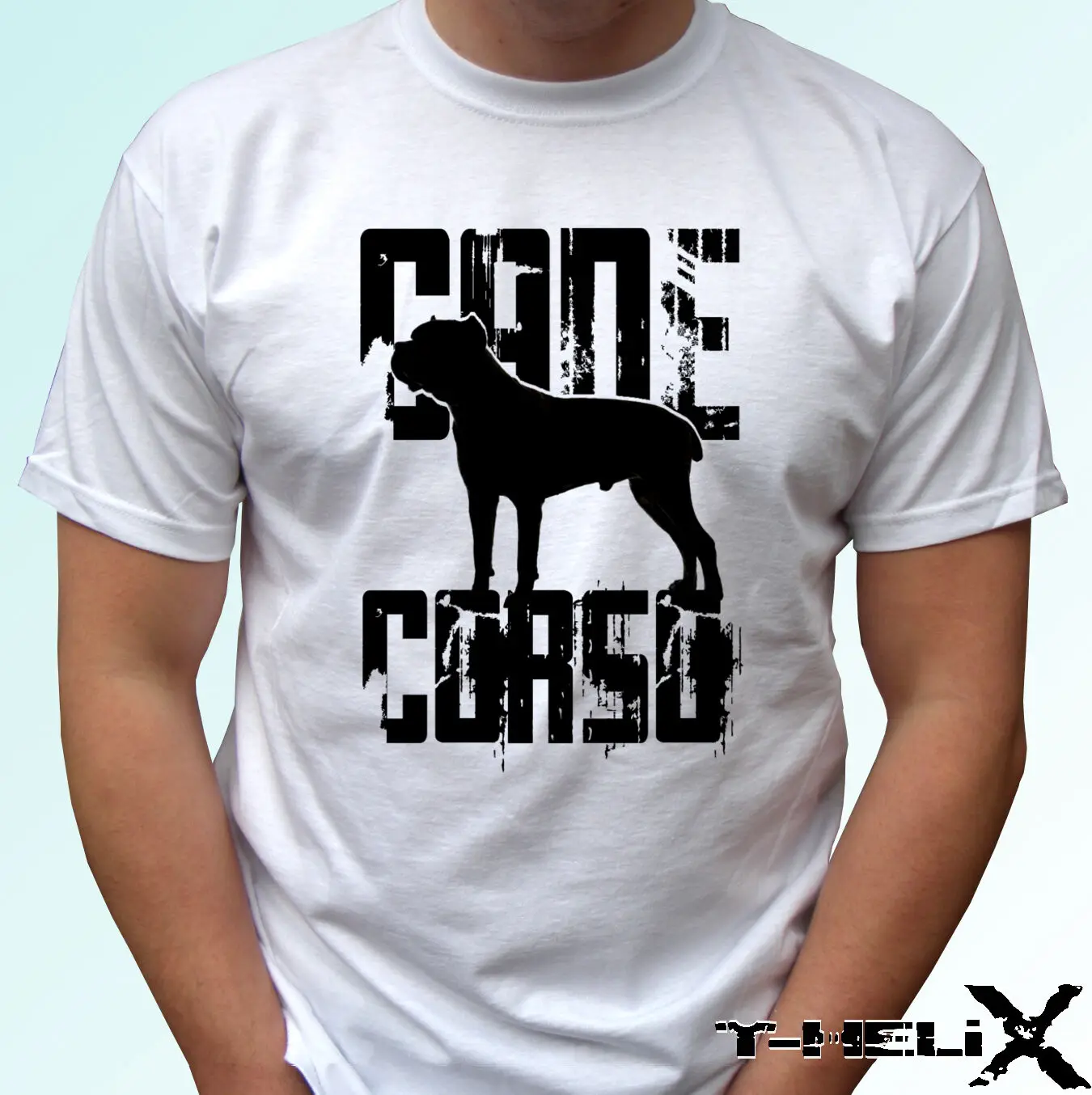 Надписи на одежде для собак. Собака в кофте с капюшоном. Одежда с логотипом собаки. Бренд с собакой на логотипе. Бомбер pitbull.