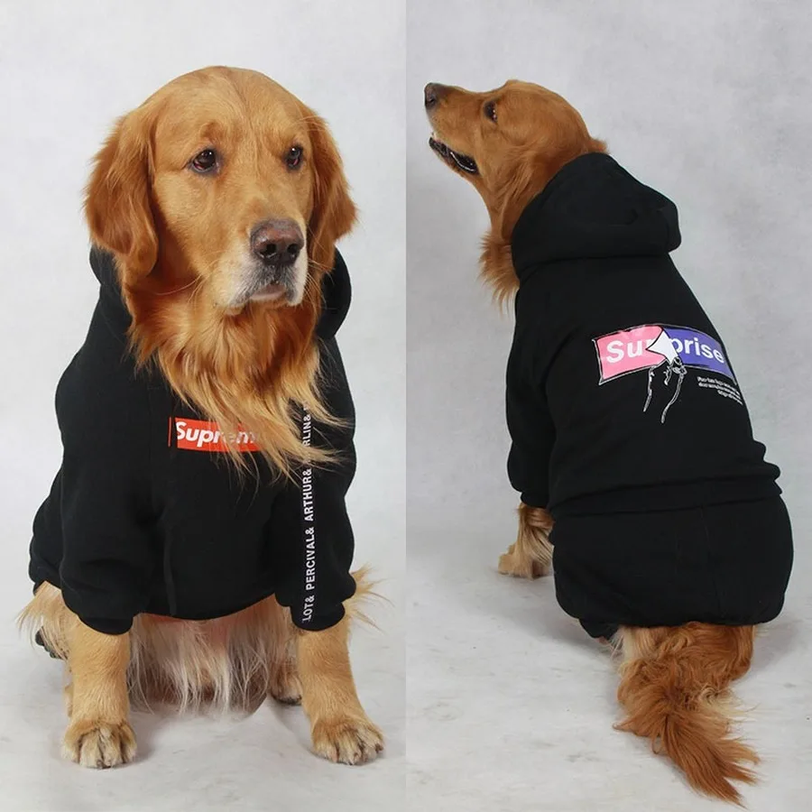 labrador hoodie
