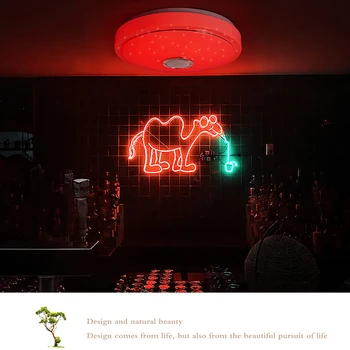 

Modern RGB LED Ceiling Lights Home Lighting 60W Bluetooth Application Music Bedroom Lamp Smart Ceiling Lamp With Remote Control