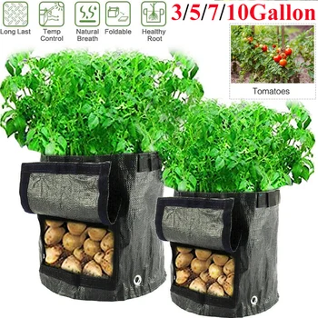 

Plant Grow Bag Potato Grow Bags Planting Waterproof PE Gardening Vegetable Planter Bag 3/5/7/10 Gallon D30