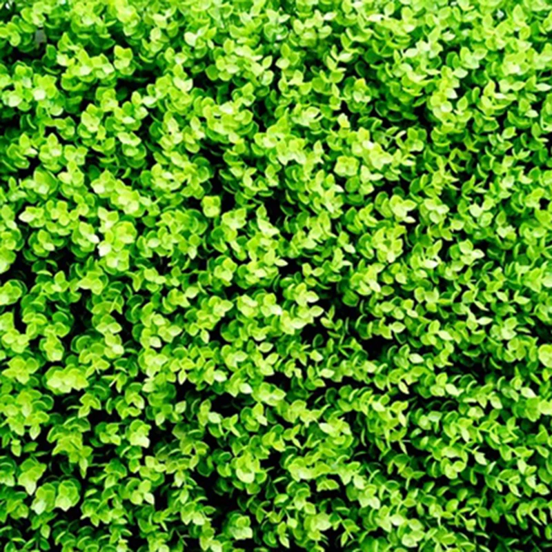 

Greenery Artificial Lawn Landscape Decoration Synthetic Grass Eucalyptus Fake