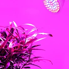 Lampe horticole de croissance LED E27 E14 MR16 GU10, 220/110V, 60/80LED, spectre complet, éclairage pour jardin intérieur