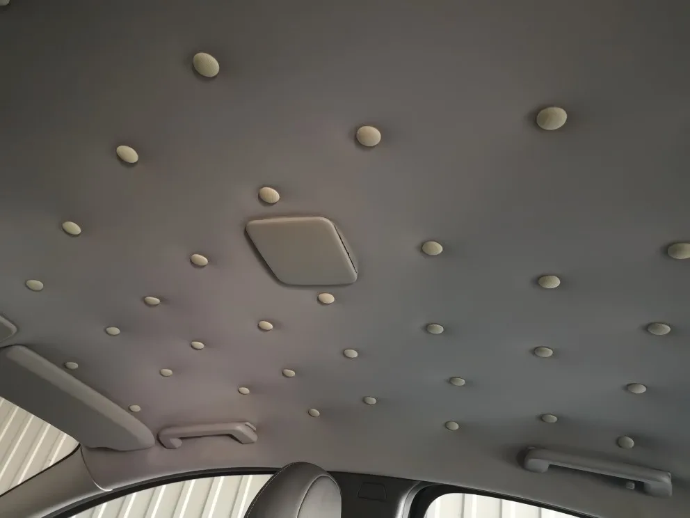 天井修理用ヘッドライニングキット 30個 トラック 車 バン用バックル付きdiy Auto Fastener Clip Aliexpress