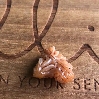 

Natural stone raw agate Silk Road Collectibles unique collection