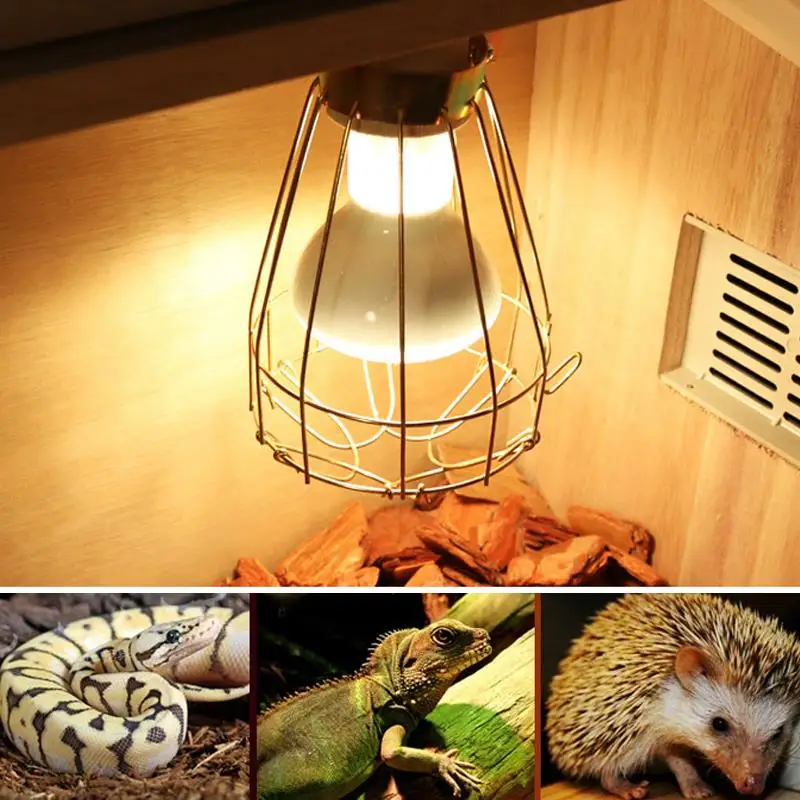 reptile lamp shade