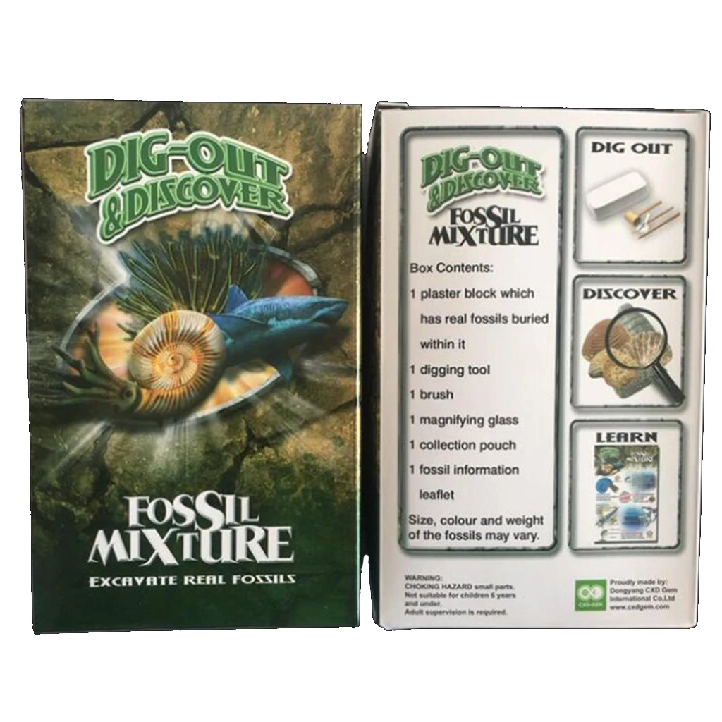 Natural Rock & Mineral Specimens Dig Kit - Discovery Geology Science Educational Toys Kids Learning Gift #B