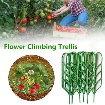 

Mini Climbing Trellis Vegetables Courtyard Indoor Plant Garden Stalks Vines Tomato Potted Leaf Shape Supports Home Bundle Pack