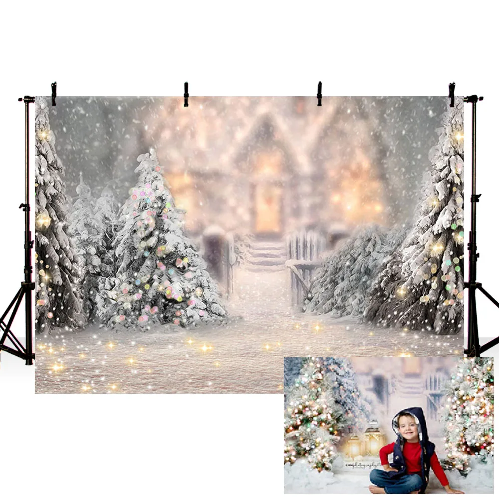 

Mehofond Christmas Backdrop Winter Snowflake Glitter Light House Baby Party Photography Background Decoration Props Photo Studio