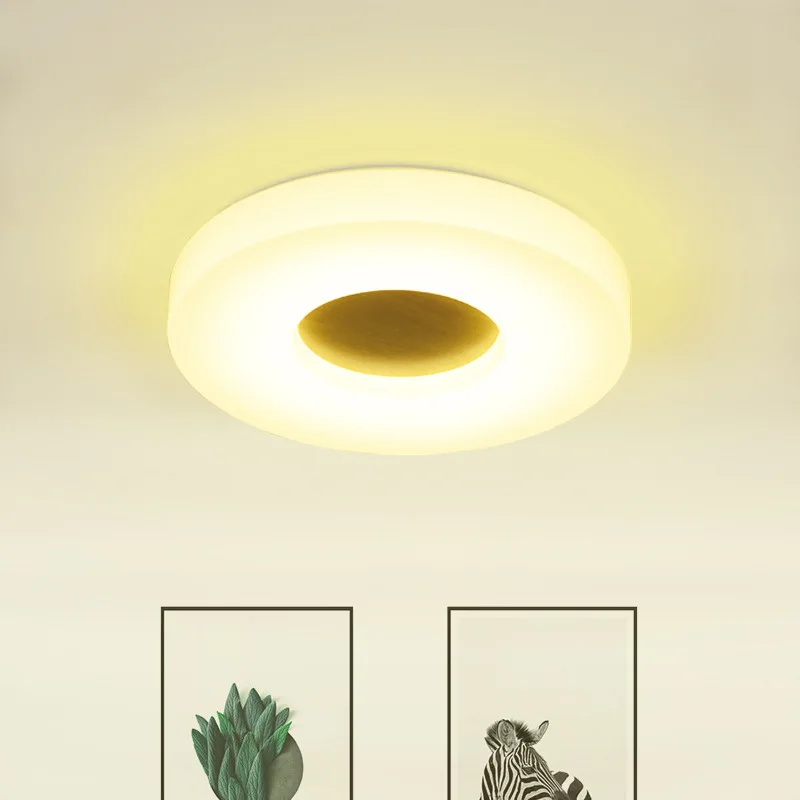

Northern European-Style Ultra-Thin Geometry Living Room Ceiling Lamp Minimalist Modern Acrylic LED CHILDREN'S Room Bedroom Circl
