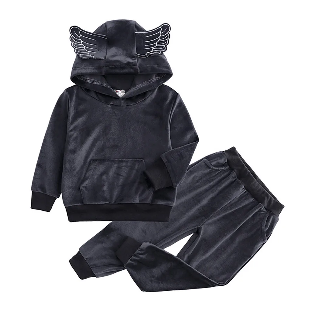 Толстовки и свитшоты для маленьких мальчиков и девочек; Флисовая теплая толстовка с капюшоном и 3D крыльями; штаны; комплект одежды; Прямая - Цвет: Серый