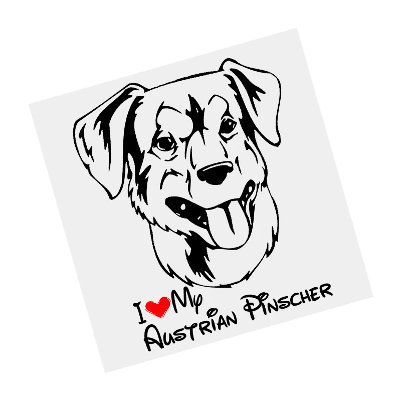 

S61447# I Love My Austrian Pinscher Dog Black Transparent Car Sticker Vinyl Decal Waterproof Decors for Motorcycle Bumper