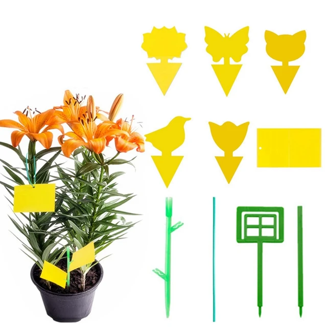 Flie Csapda Hibák Ragadós Fedélzeti Otthoni Kert Kettős Oldalú, Repülő Növényi Rovar Fogó Kertészeti Szerszámok Virág Alakú Fogás - Image 2