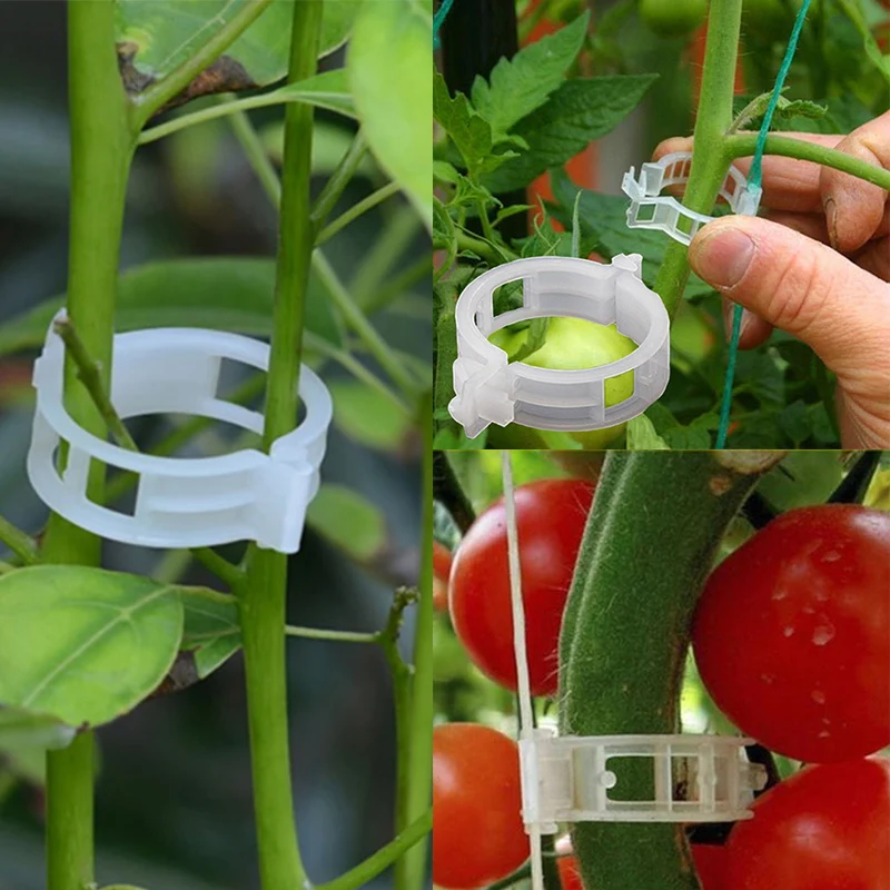 100 Garden Plant Support Clips Vegetables Tomato Vine Flower Locks Grow Upright 