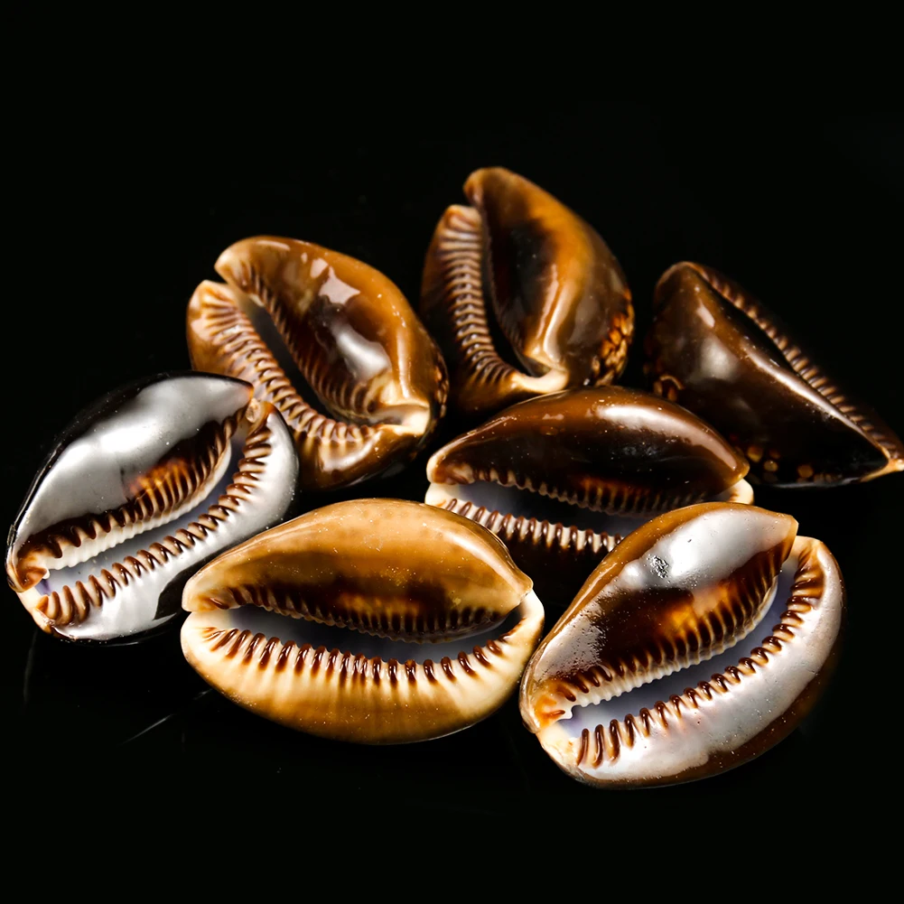 H1219c51010154498b57d1df6ef1d63402.jpg?width=1001&height=1001&hash=2002