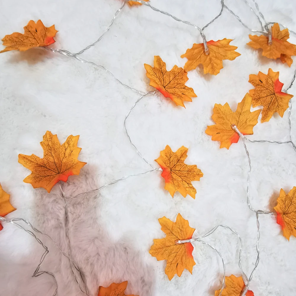 11646064998_1099349780