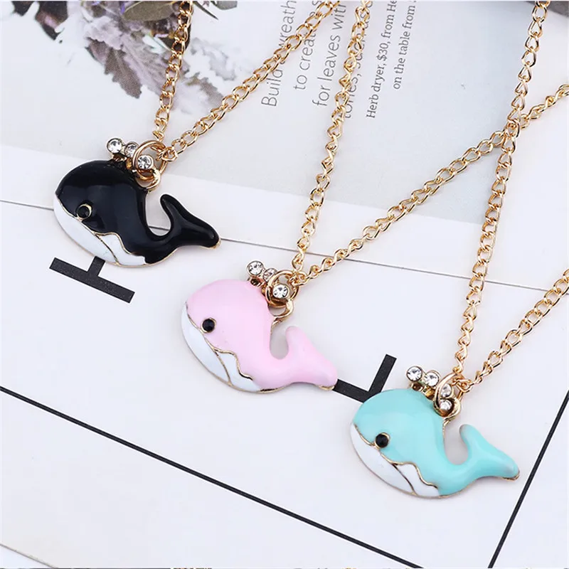 8086564303_679221165