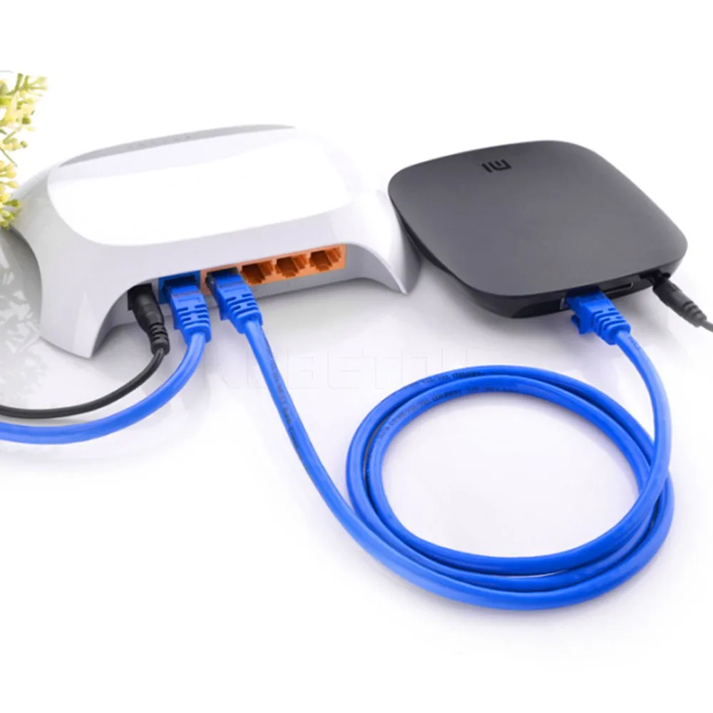 

CAT5 Ethernet internet patch network cable plugged into laptop