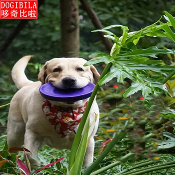 

Pet toys bite and molars resistant interactive Labrador Cauchy frontier animal husbandry professional training flying disc