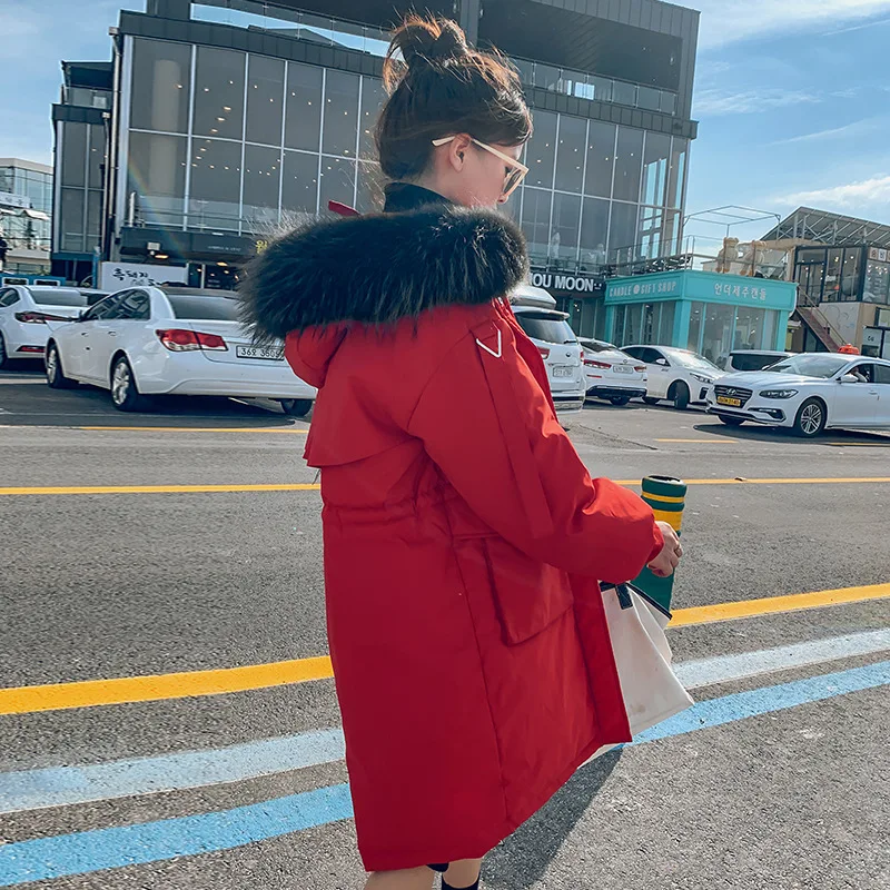 

Down Jacket Women's New Style Dongdaemun down Jacket Women's Mid-length Parka Large Size Cotton Coat