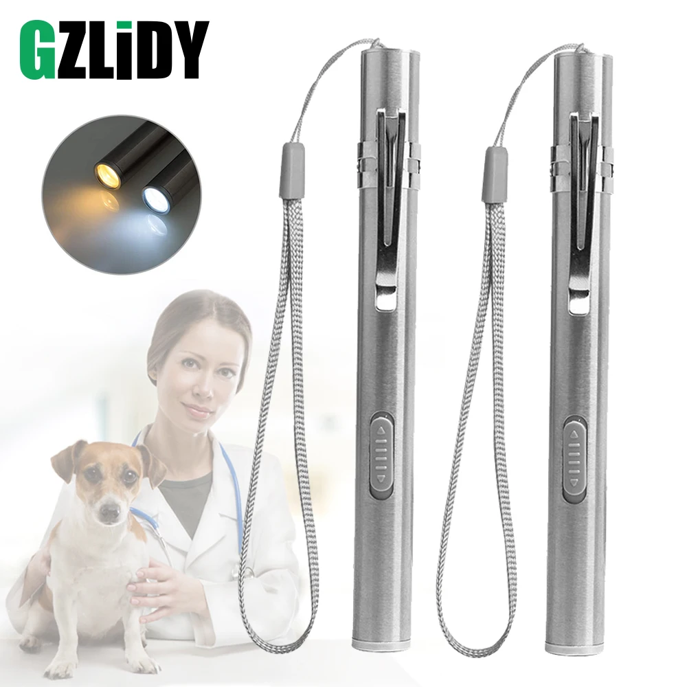 

USB Rechargeable LED Flashlight Cold White + Warm White Light Pen Light MINI Torch with USB Charging Cable Suitable As A Gift