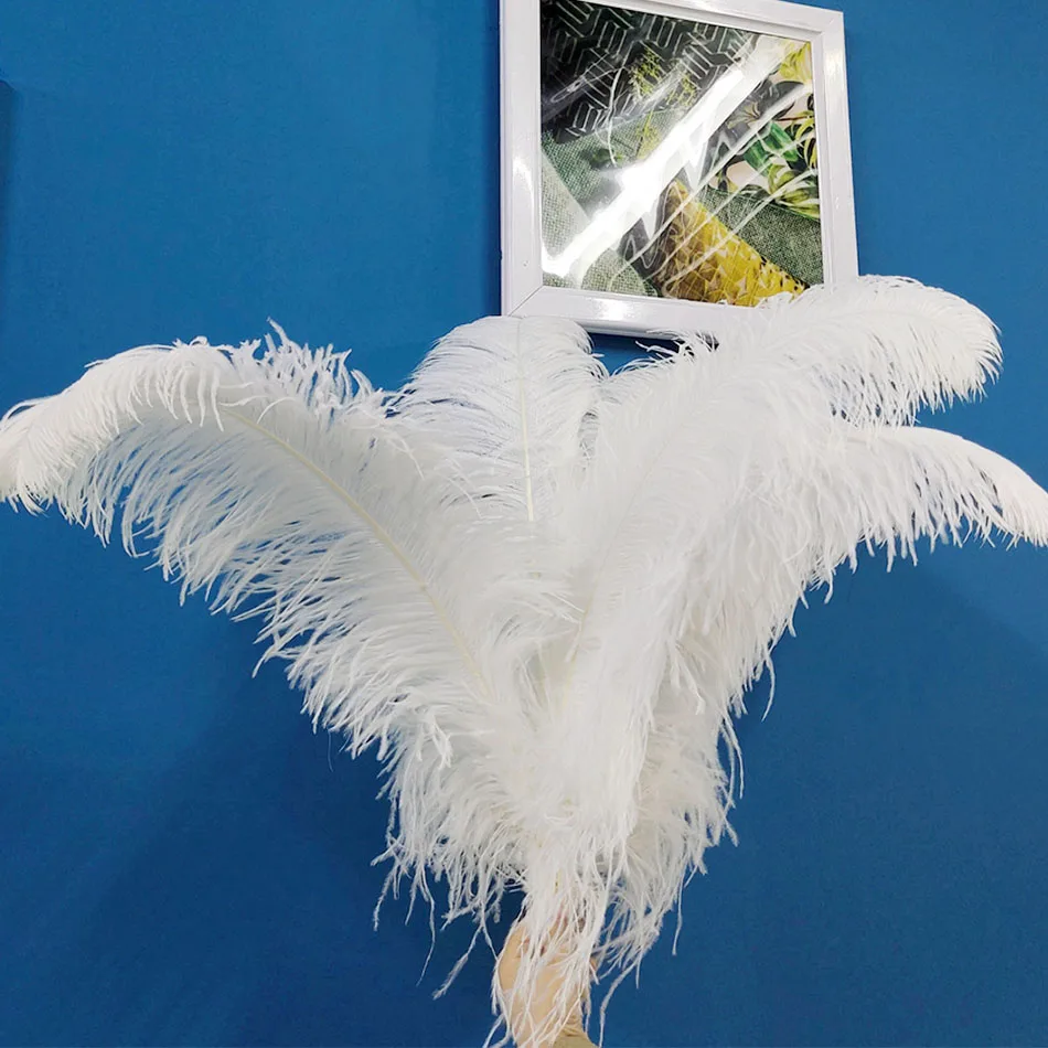 White - 10 pcs Home Decoration Natural Ostrich Feathers Plume for Wedding 