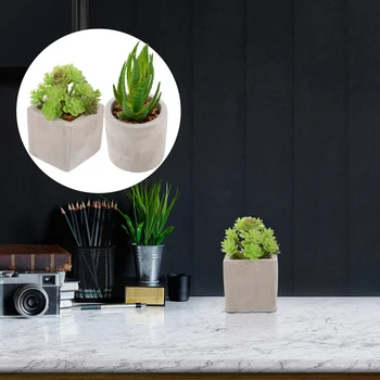 

2pcs Crafted Adorable Exquisite Home Improvement Decorative Bonsai Succulent Potted Plant for Garden