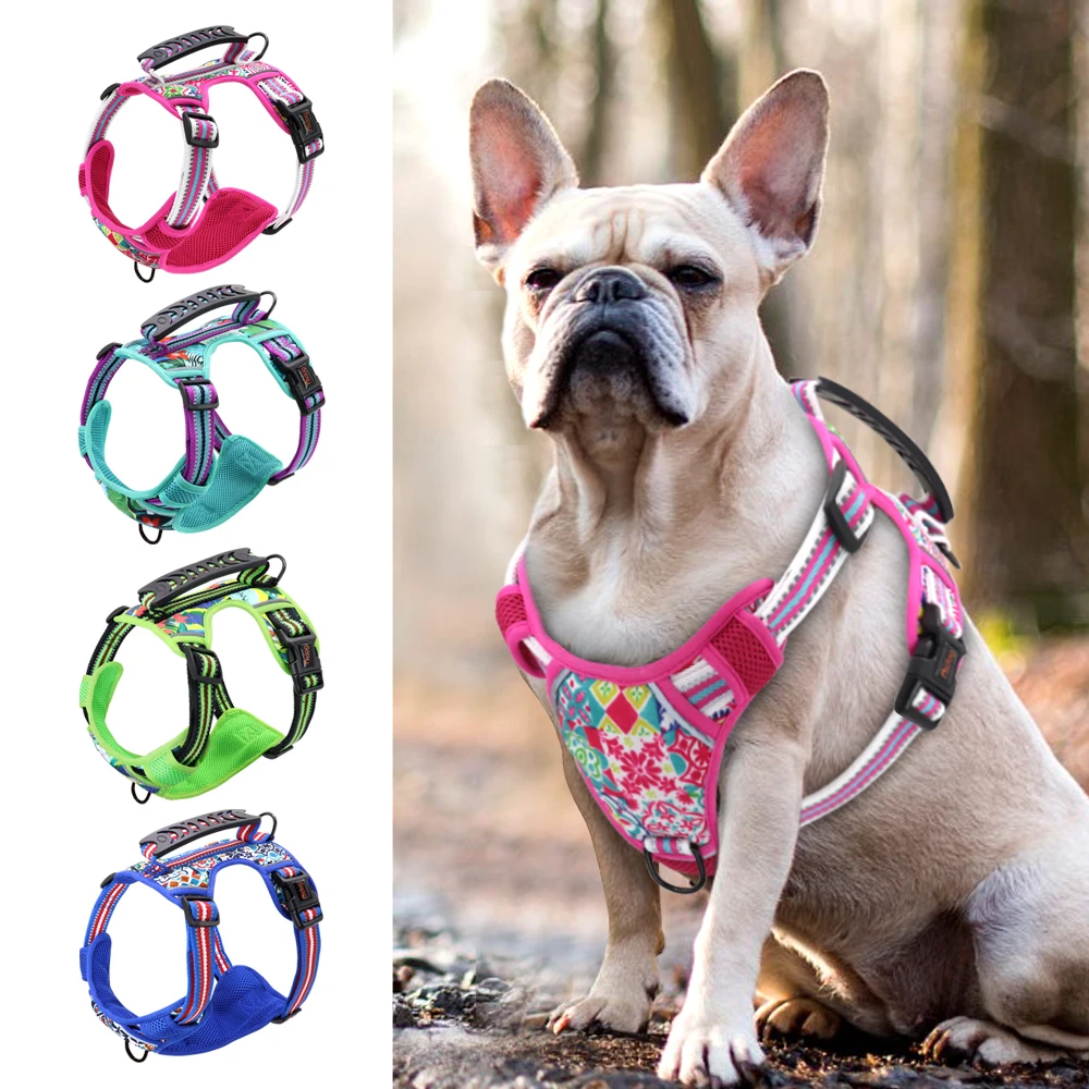 Dog Harness Vest Pitbulls Harnesses French Bulldogs Bulldog French