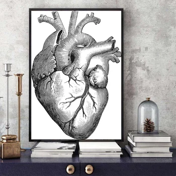 

Heart Human Anatomy Art Canvas Poster Home Wall Decor (No Frame)