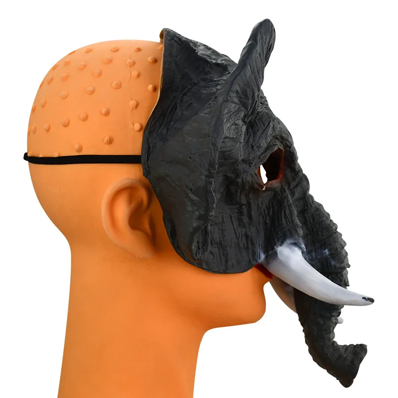 ҷ  ǻ ڳ ũ, ī  ũ,  м ũ,  ȸ ũ, 2023 ο ڽ Ƽ