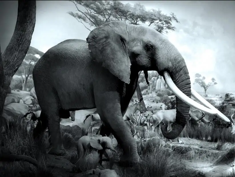 QQ截图20200627160713