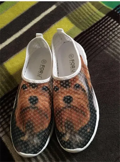 HTB1IS48MXXXXXcrXFXXq6xXFXXXE