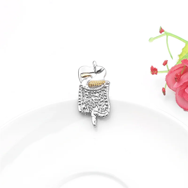 Kidney Anatomy Enamel Brooch - Medical Student & Nurse Pin For Urology & Nephrology