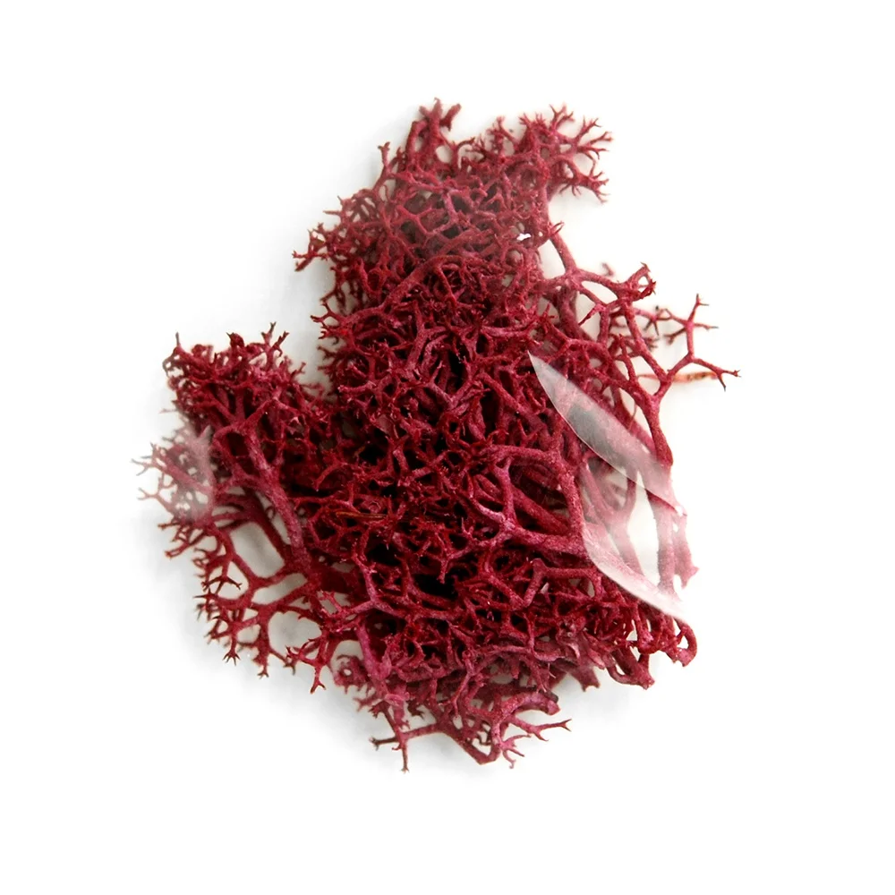 purplish red Rolabling 6 цветов Сушеные Листья натуральный консервированный цветок для дизайна ногтей украшения маникюрные аксессуары для ногтей УФ Гель-лак украшение дизайн ногтей сухоцветы маникюр для ногтей дизайн - Цвет: purplish red